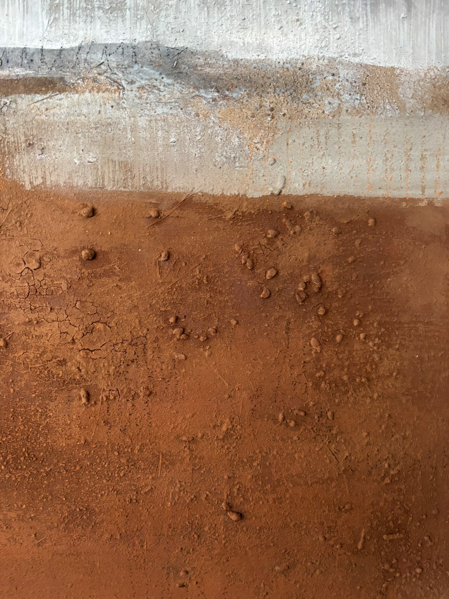 Hochwertige Wanddekoration Unikat Am Pinienstrand Cornelia Hauch Kunst.