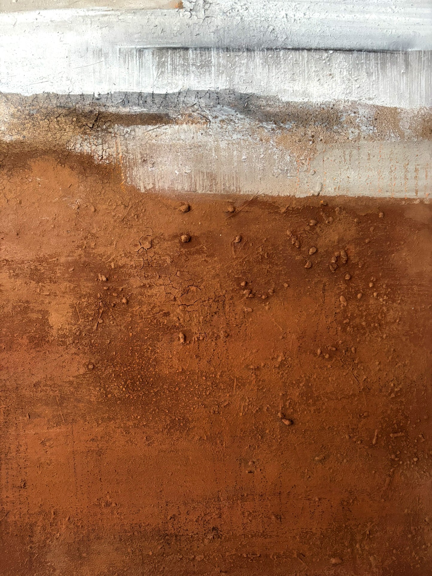 Zeitloses Kunstwerk Am Pinienstrand in Rostrot und Sandfarben auf Keilrahmen.